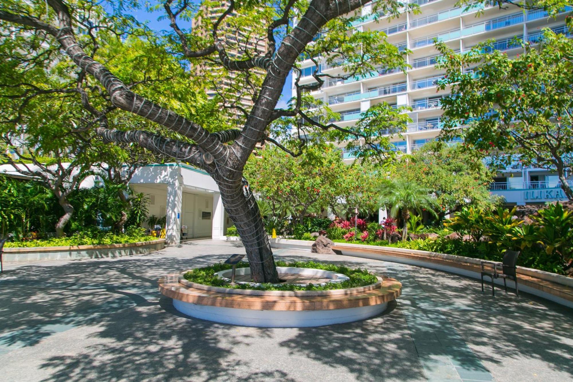 Appartamento Ilikai Tower 1127 Yacht Harbor View 1Br Honolulu Esterno foto